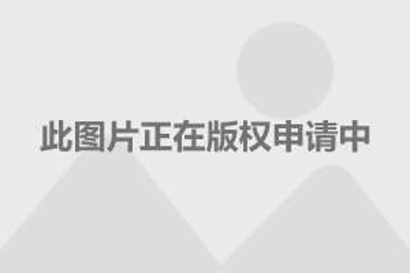 共享车位：解锁城市停车新方式